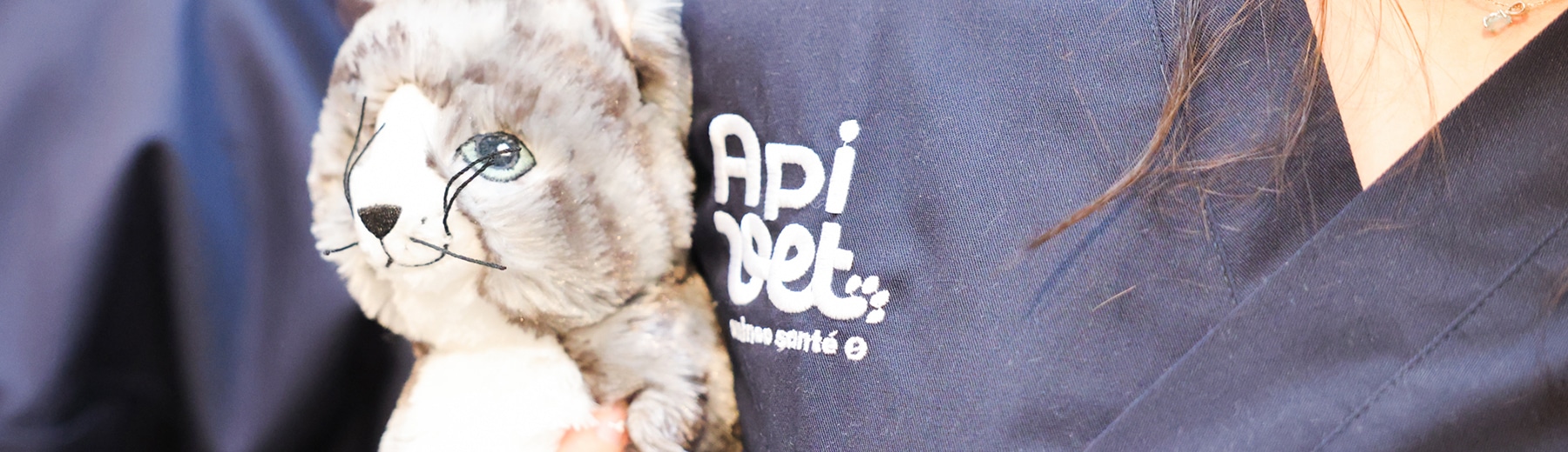 Blouse Apivet