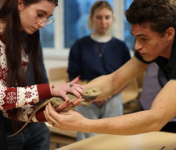 Vie de campus - Apivet Rennes
