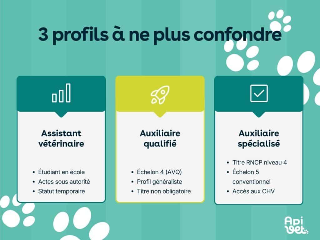 Assistant vétérinaire ou auxiliaire vétérinaire : 3 profils.