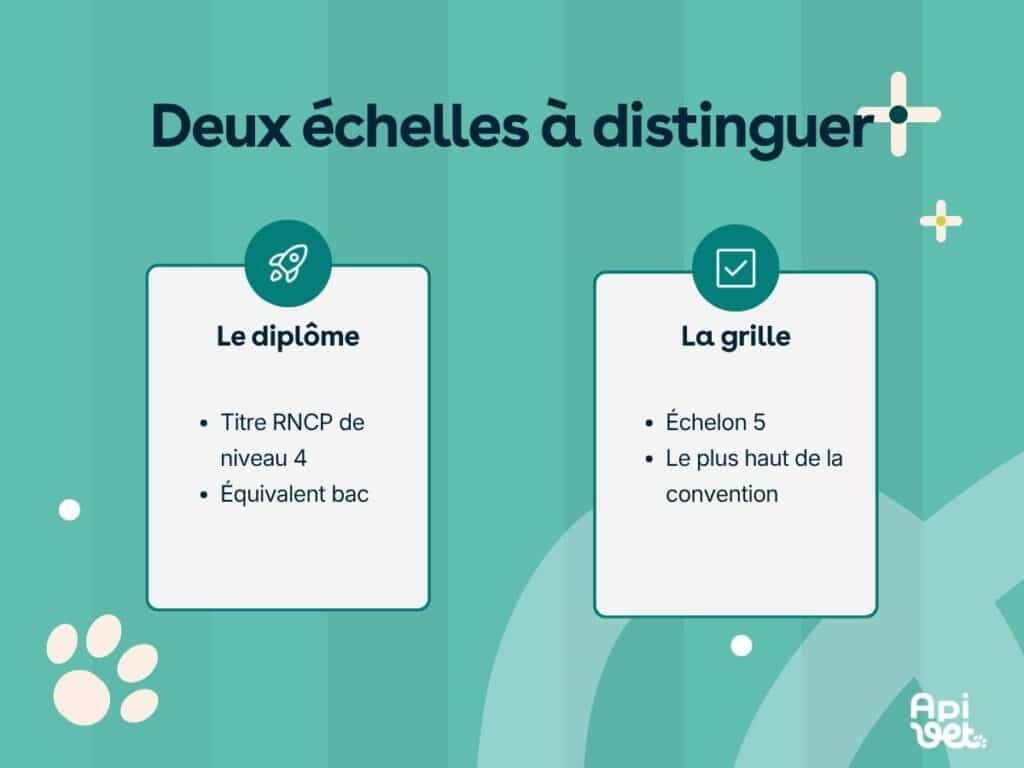 Deux échelles à distinguer pour le statut d'ASV